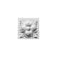 D210